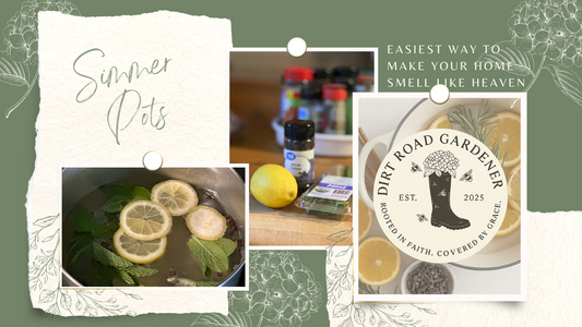 The Easiest Way to Make Your Home Smell Like Heaven