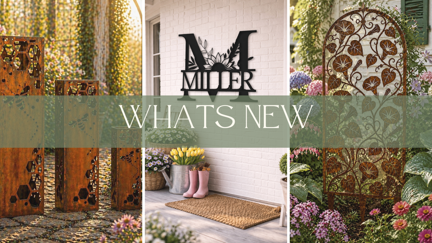 New This Week