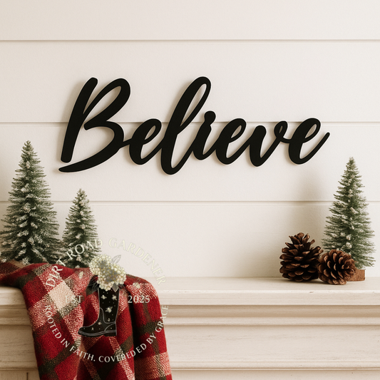 BELIEVE Metal Word Sign | Farmhouse Christmas Wall Decor | Holiday Decorations